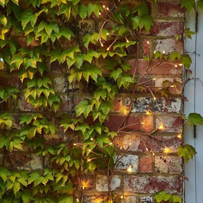 X6 Solar Ivy Branch Lights