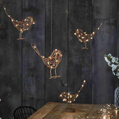 Hanging Robin Lights