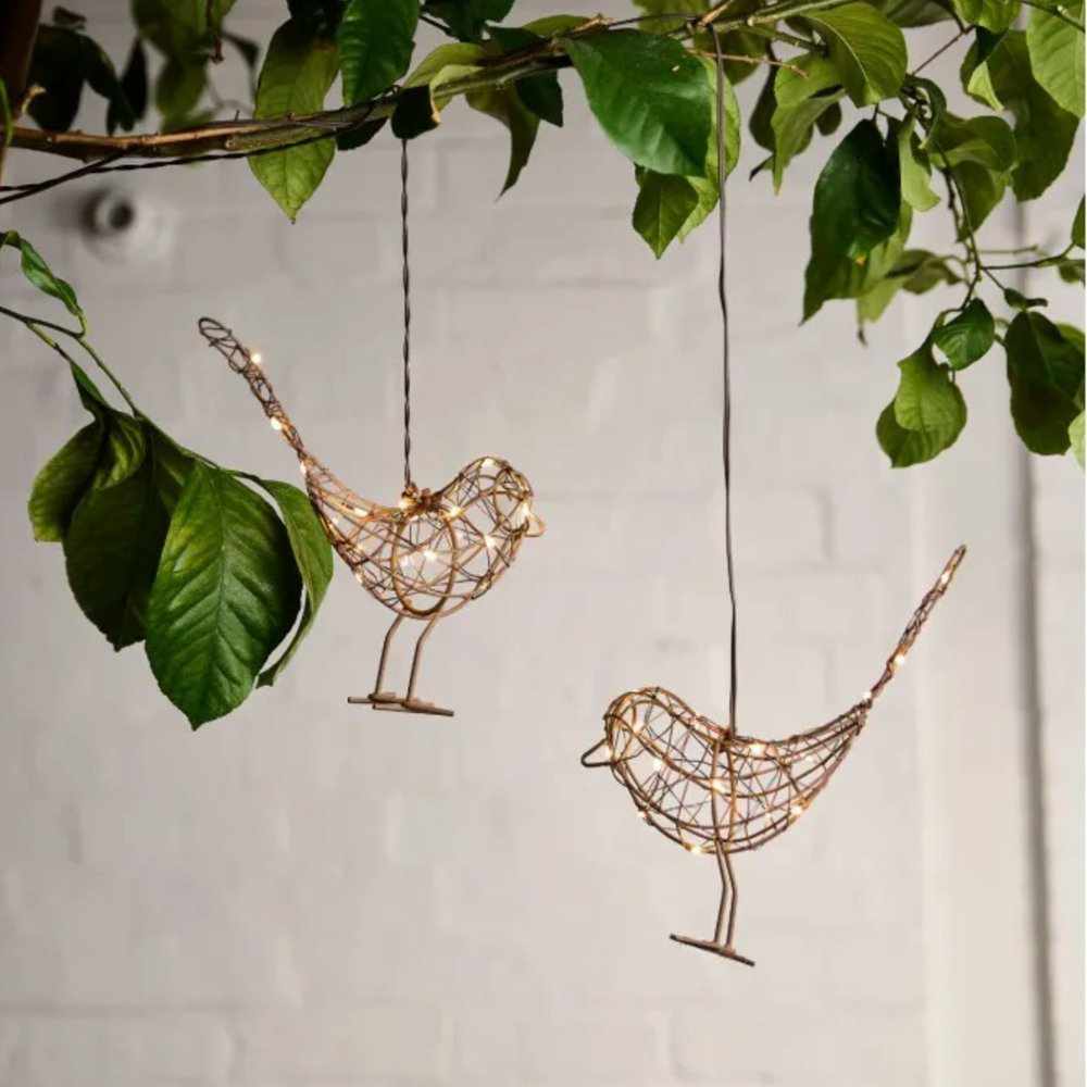 Hanging Robin Lights