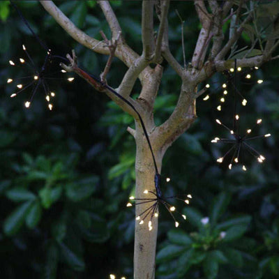 Indoor Starburst Garland Lights Black - NEST & FLOWERS