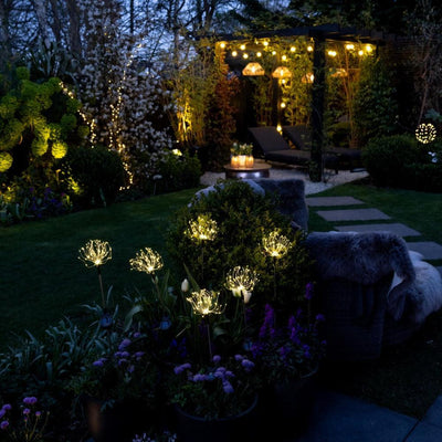 x12 Starburst Peony Stake Lights