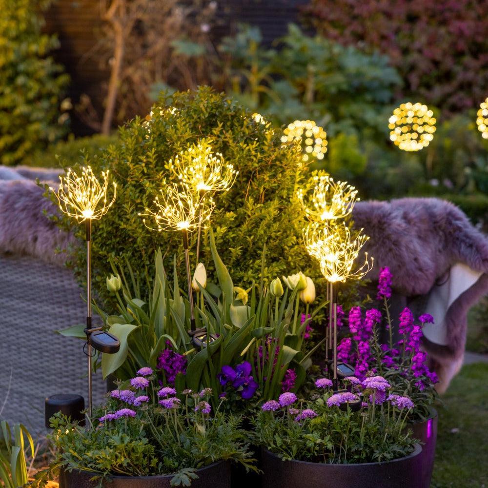 x12 Starburst Peony Stake Lights