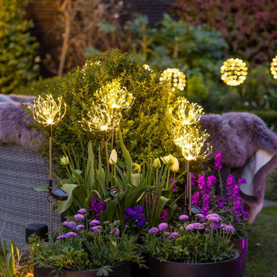 x12 Starburst Peony Stake Lights