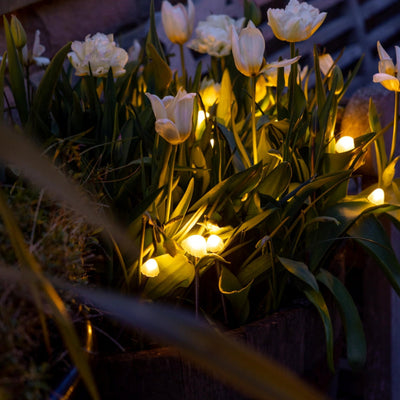 Tall Mushroom Solar Lights