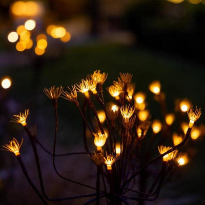 X12 Wild Fennel Lights