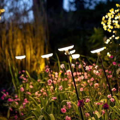 x8 Somerset Swaying Solar Garden Lights