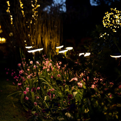 x16 Somerset Swaying Solar Garden Lights