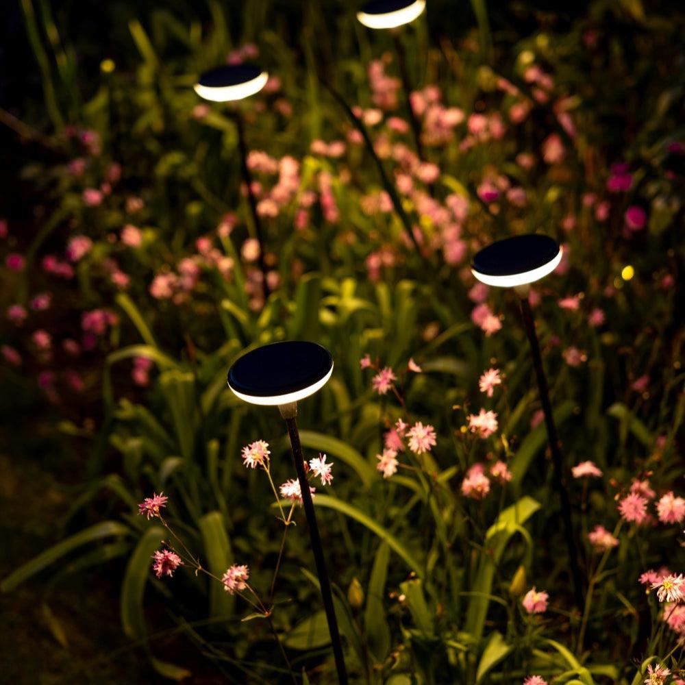 Somerset Swaying Solar Garden Light