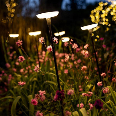 Somerset Swaying Solar Garden Light