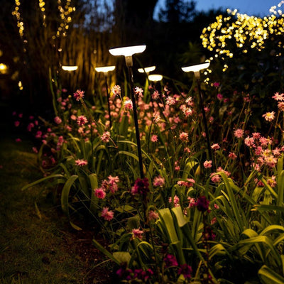 Somerset Swaying Solar Garden Light