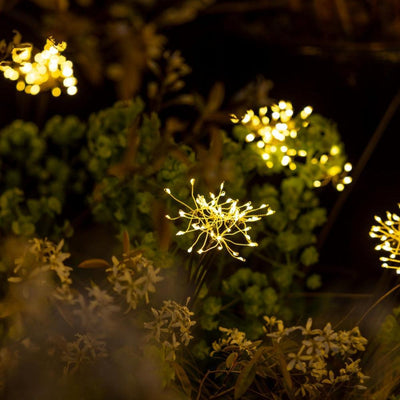 x8 Solar Starburst Cluster Stake Lights