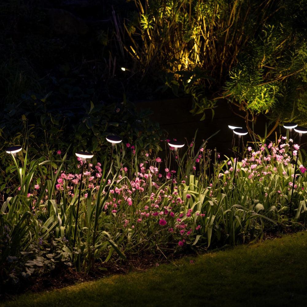 Somerset Swaying Solar Garden Light