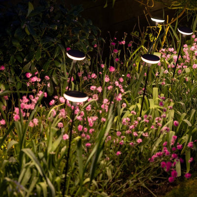 Somerset Swaying Solar Garden Light
