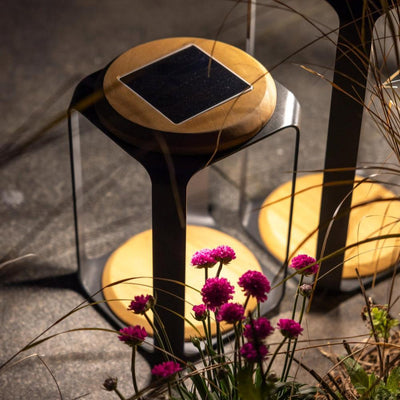 x2 Four Seasons Lantern LED Charcoal Pack