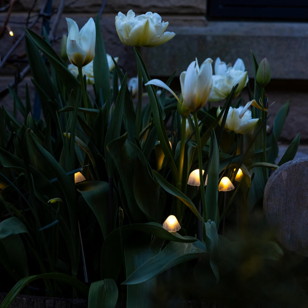 Tall Mushroom Solar Lights