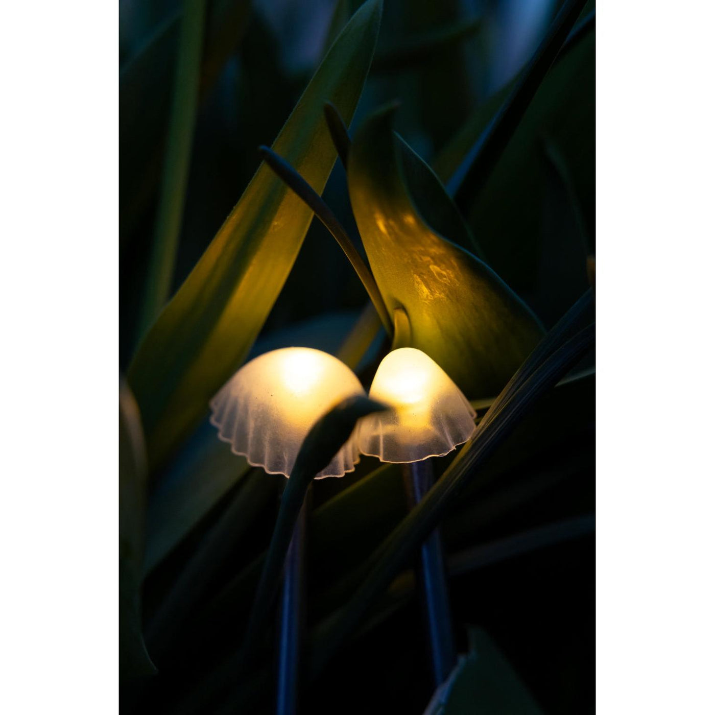 Tall Mushroom Solar Lights