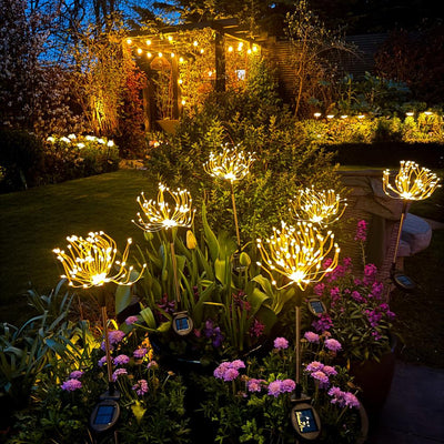 x6 Solar Peony & x6 Pebbles Pack