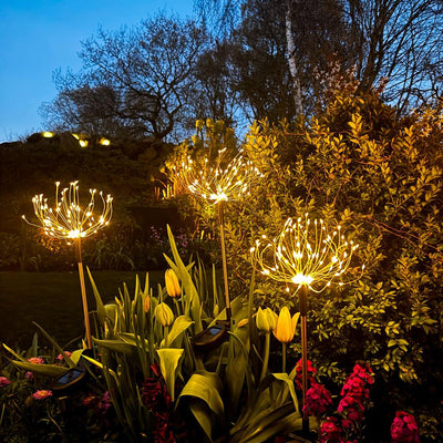 x12 Starburst Peony Stake Lights
