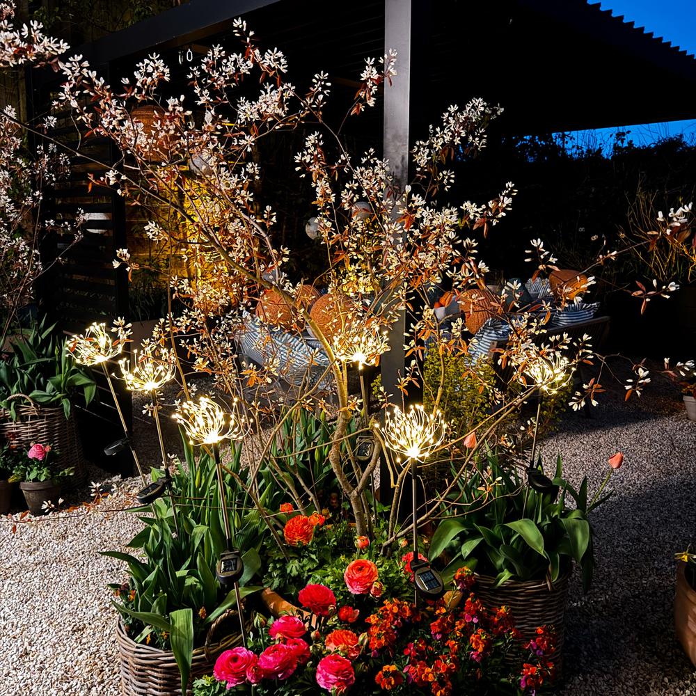 x6 Starburst Peony Stake Lights