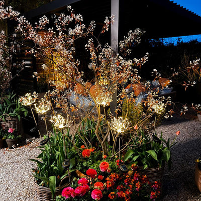 x6 Solar Peony & x6 Pebbles Pack