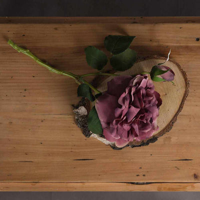 Pink Short Stem Fashion Roses x3