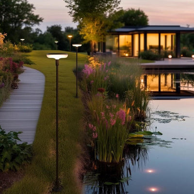 x8 Somerset Swaying Solar Garden Lights