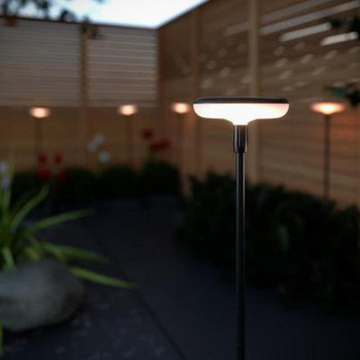 x8 Somerset Swaying Solar Garden Lights
