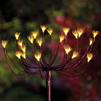 x3 Wild Fennel
