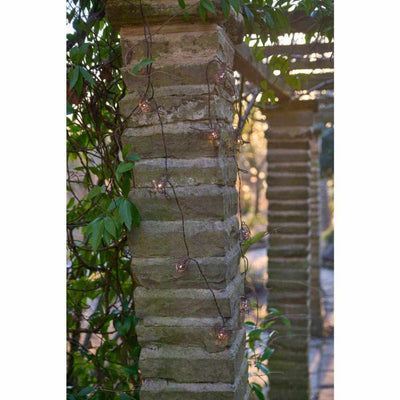 Solar Robin Garland Lights - NEST & FLOWERS