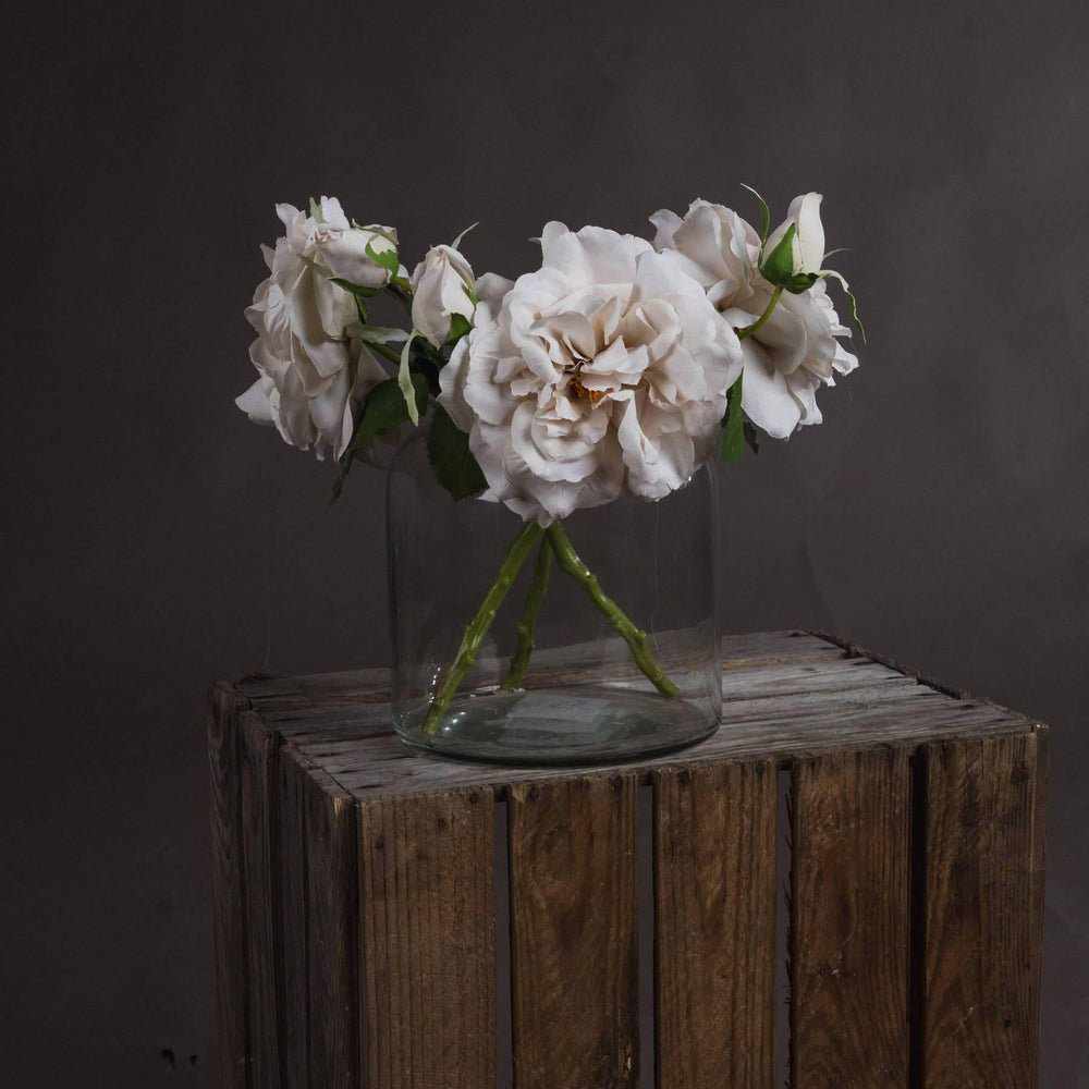 White Short Stem Roses x3
