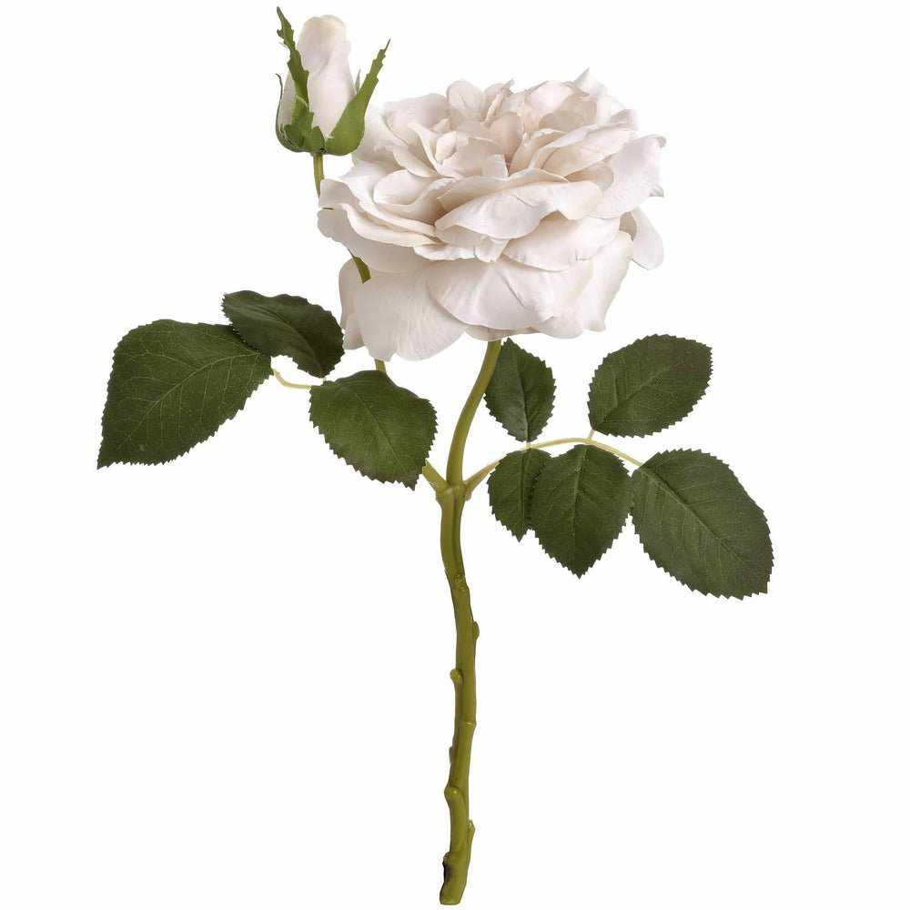 White Short Stem Roses x3