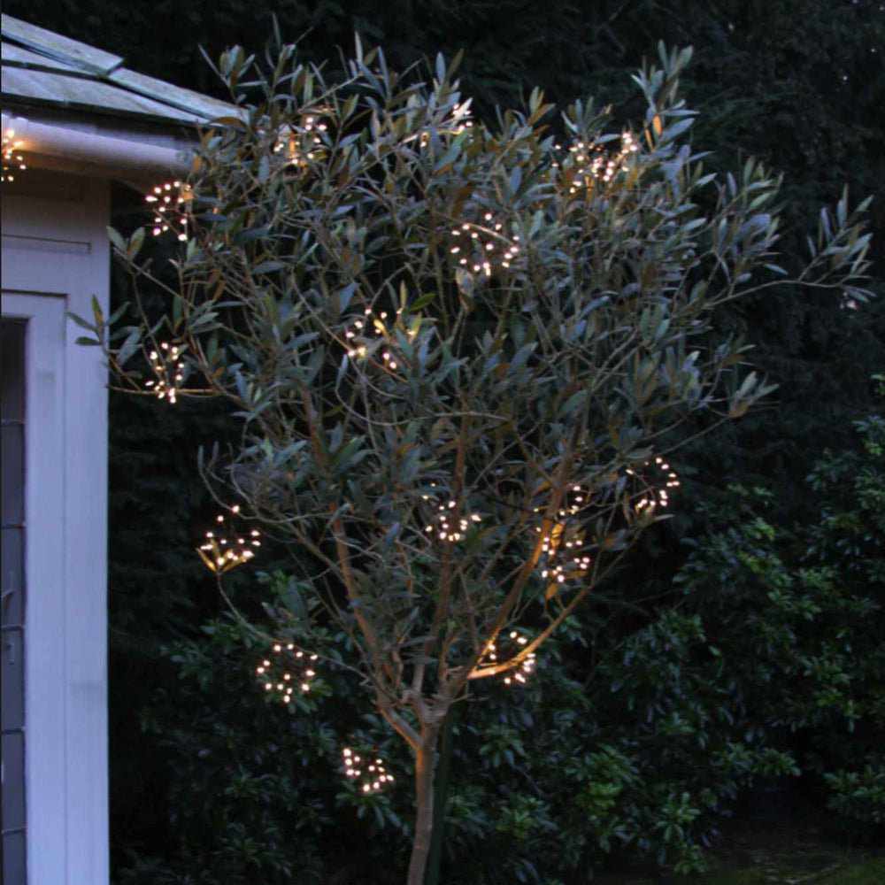 x12 Solar Starburst Garland Lights Black - NEST & FLOWERS