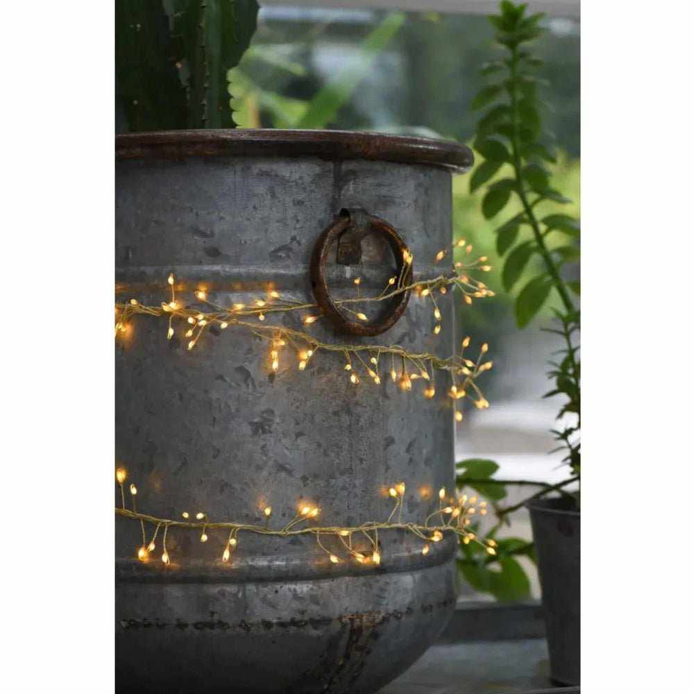 x3 Solar Cluster String Lights - NEST & FLOWERS