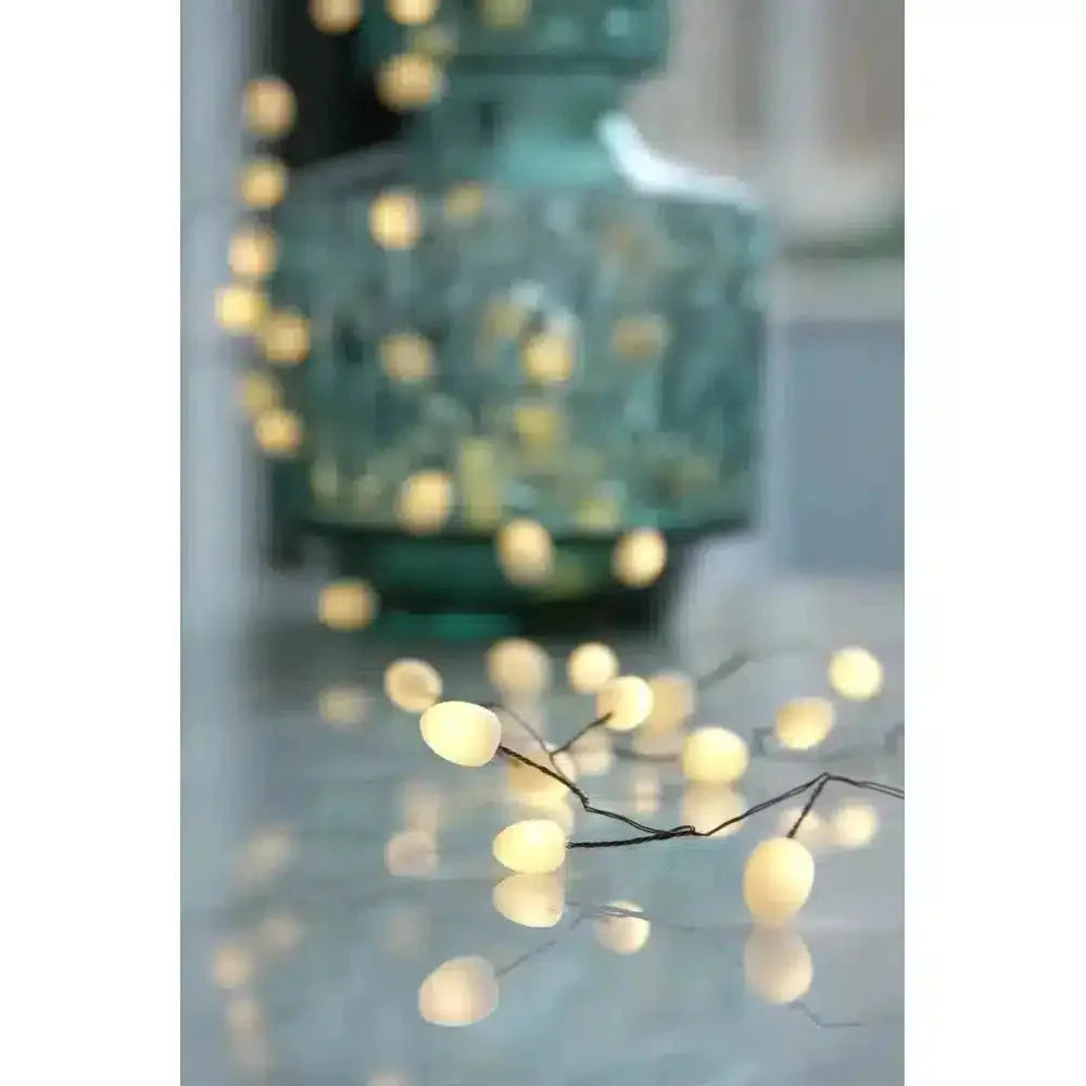 x6 Teardrop String Lights - NEST & FLOWERS